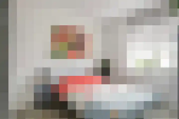 De Lansing 23 Benschop thumbnail 19
