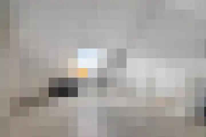 De Lansing 23 Benschop thumbnail 25