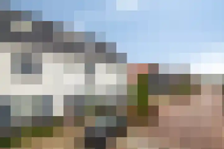 De Lansing 23 Benschop thumbnail 30