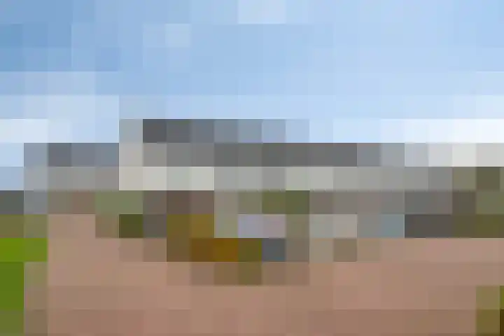 De Lansing 23 Benschop thumbnail 33