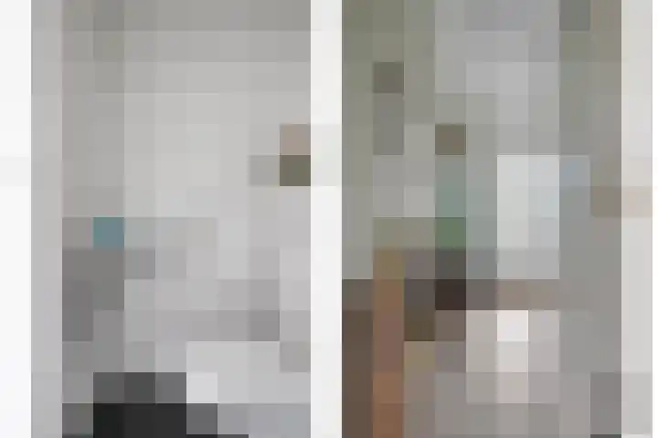 De Lansing 23 Benschop thumbnail 5