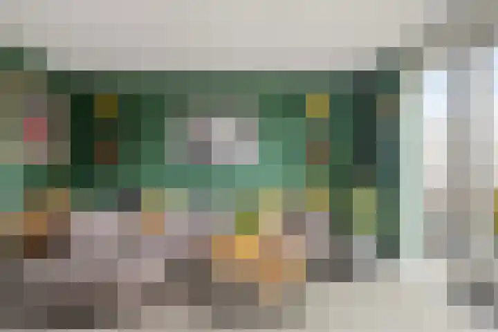 De Lansing 23 Benschop thumbnail 6