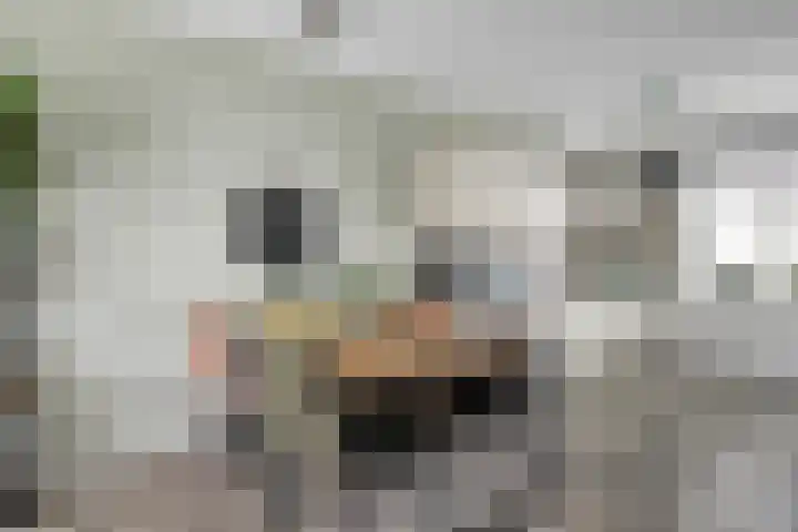 De Lansing 23 Benschop thumbnail 9