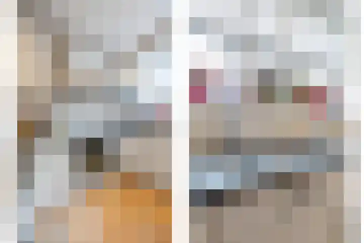 De Laren 15 Afferden thumbnail 10
