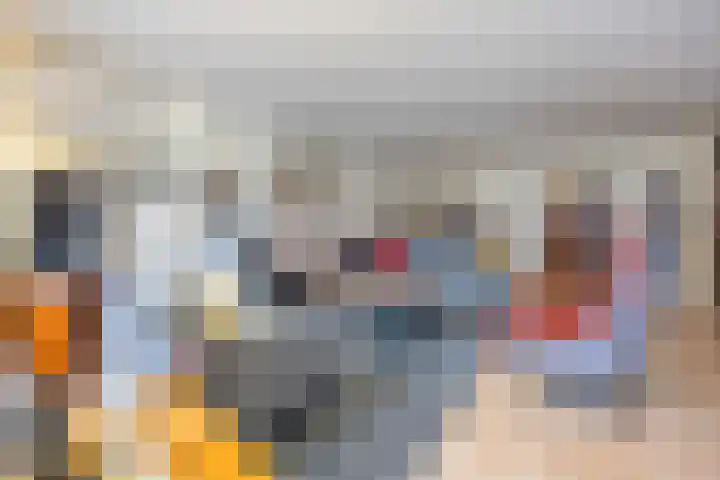 De Laren 15 Afferden thumbnail 16