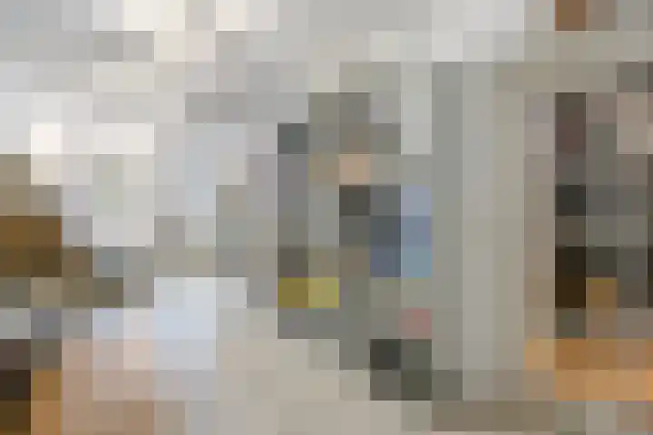 De Laren 15 Afferden thumbnail 21