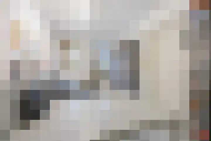 De Laren 15 Afferden thumbnail 22