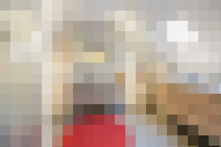 De Laren 15 Afferden thumbnail 28