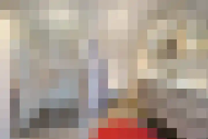 De Laren 15 Afferden thumbnail 30