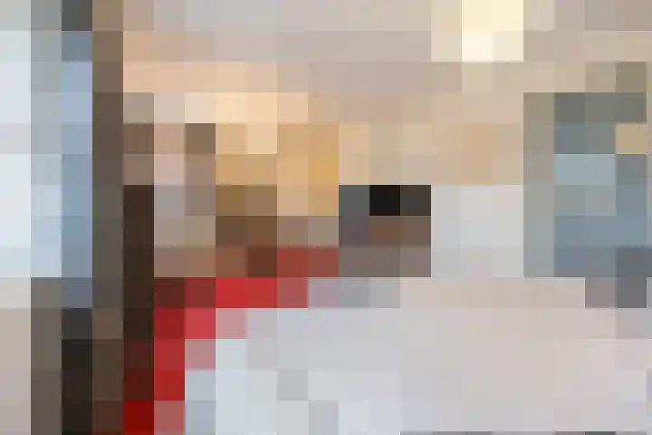 De Laren 15 Afferden thumbnail 36