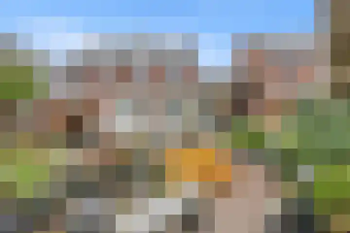 De Laren 15 Afferden thumbnail 4