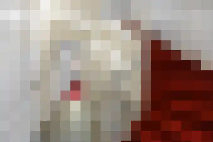 De Laren 15 Afferden thumbnail 40