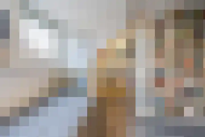 De Laren 15 Afferden thumbnail 46
