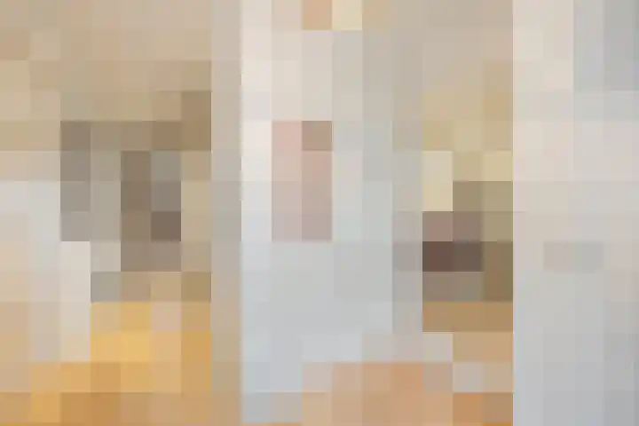 De Laren 15 Afferden thumbnail 5