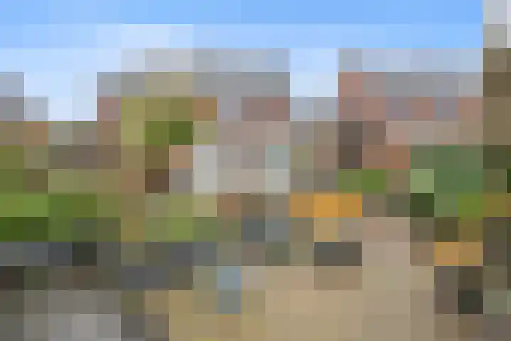 De Laren 15 Afferden thumbnail 51