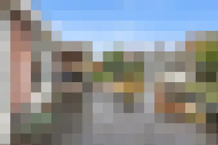 De Laren 15 Afferden thumbnail 55