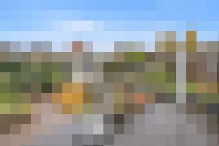 De Laren 15 Afferden thumbnail 56