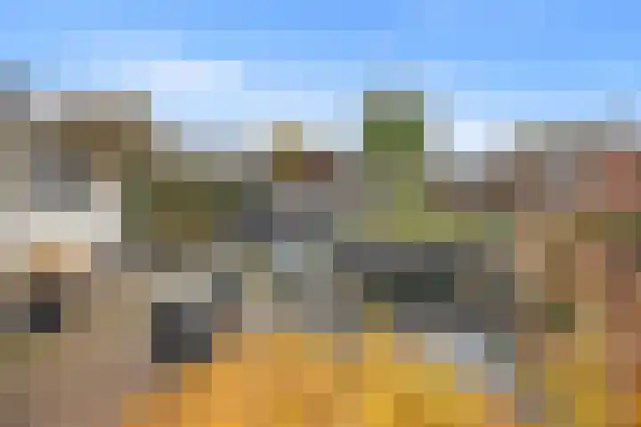 De Laren 15 Afferden thumbnail 57