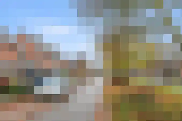 De Laren 15 Afferden thumbnail 65