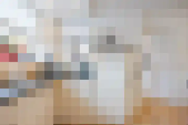 De Laren 15 Afferden thumbnail 8