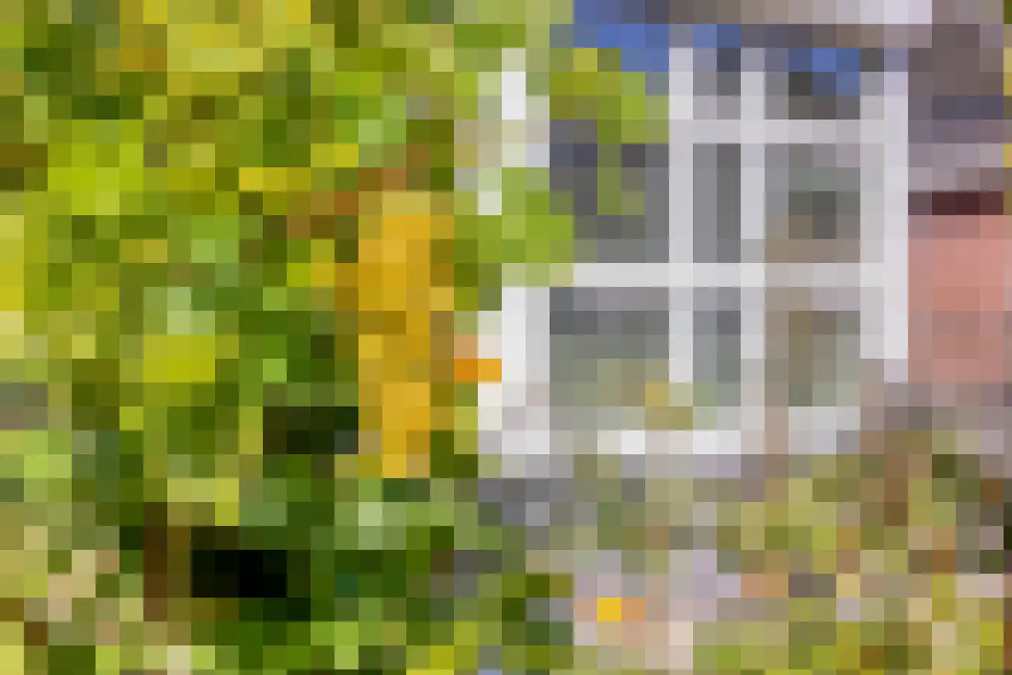 De Laren 44 Afferden thumbnail 9