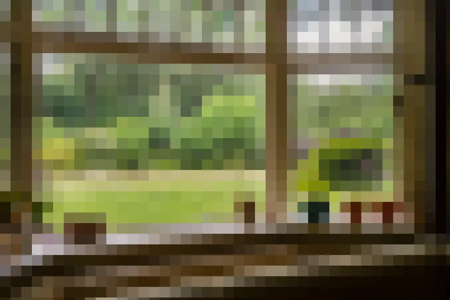 De Lariks 1 Assen thumbnail 18