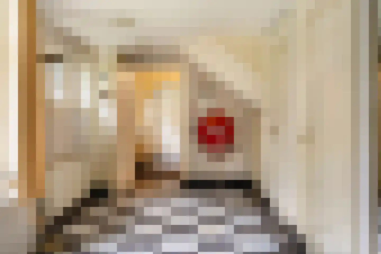 De Lariks 1 Assen thumbnail 22