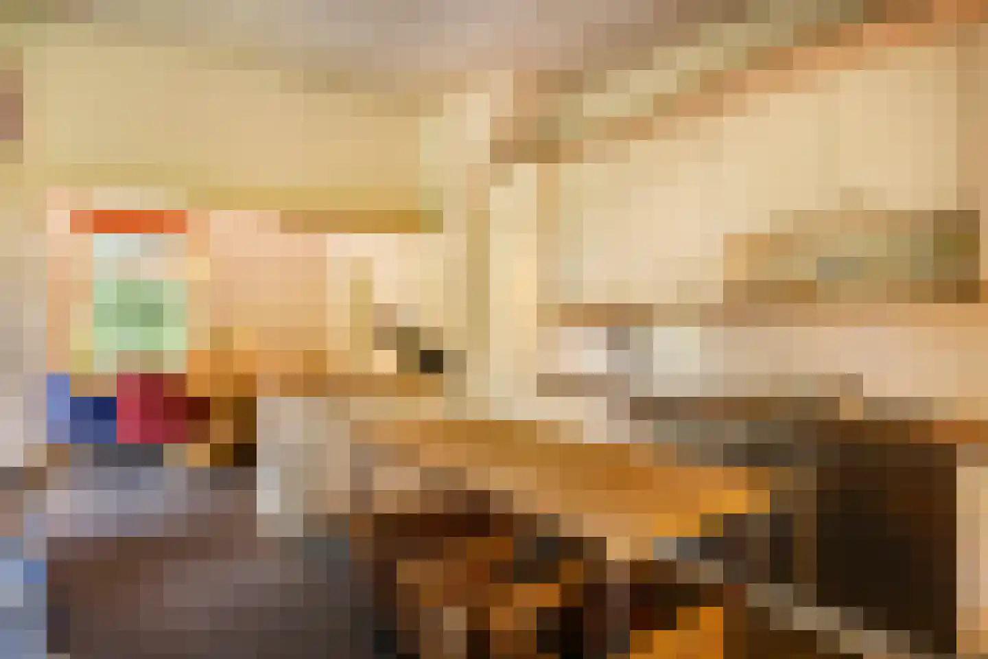 De Lariks 1 Assen thumbnail 36