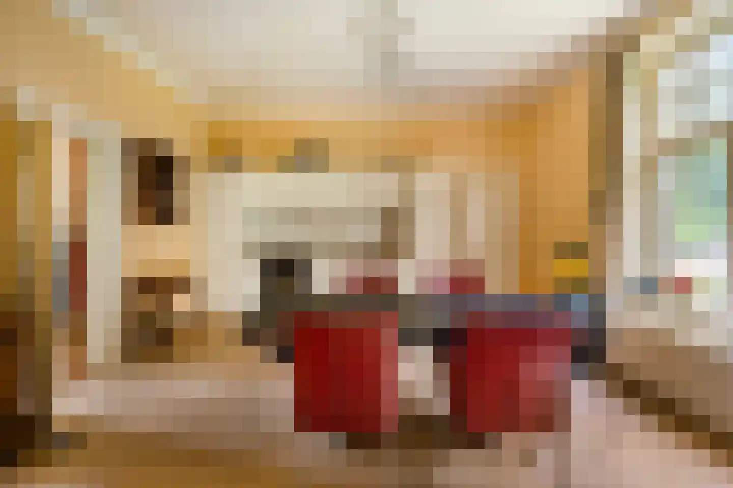 De Lariks 1 Assen thumbnail 39
