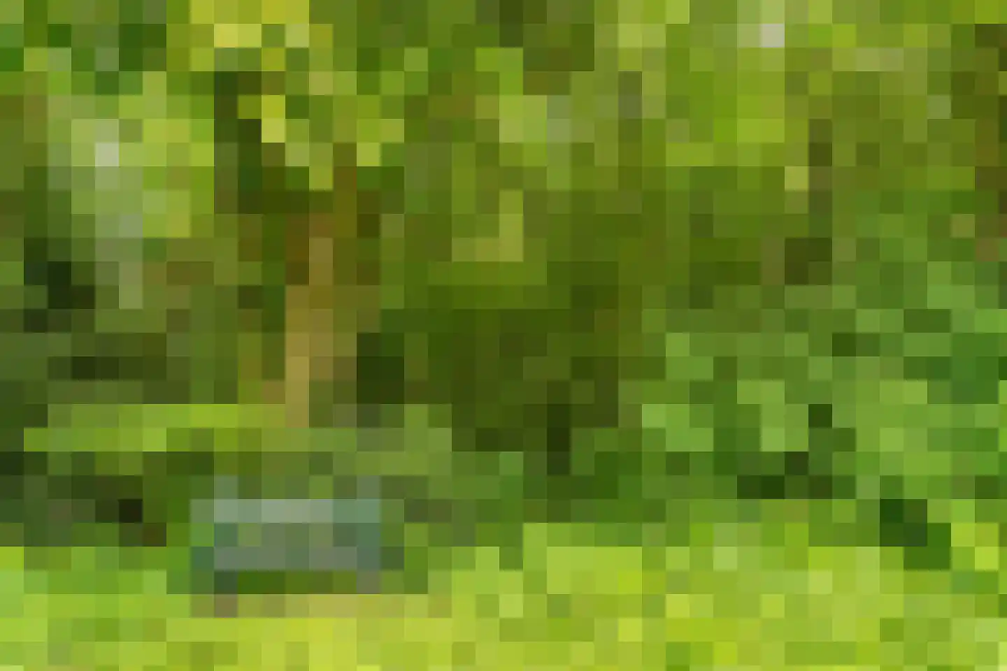 De Lariks 1 Assen thumbnail 4