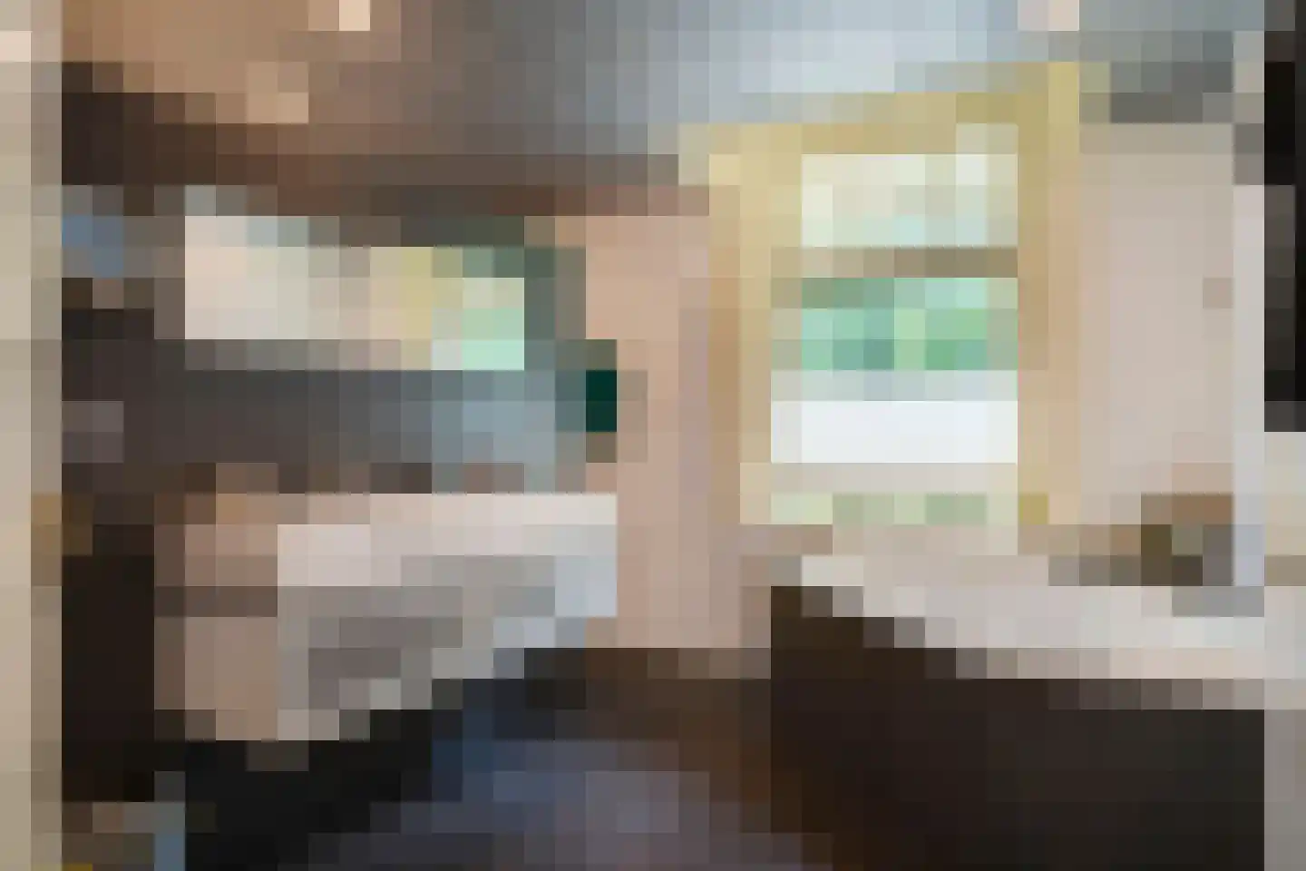 De Lariks 1 Assen thumbnail 45