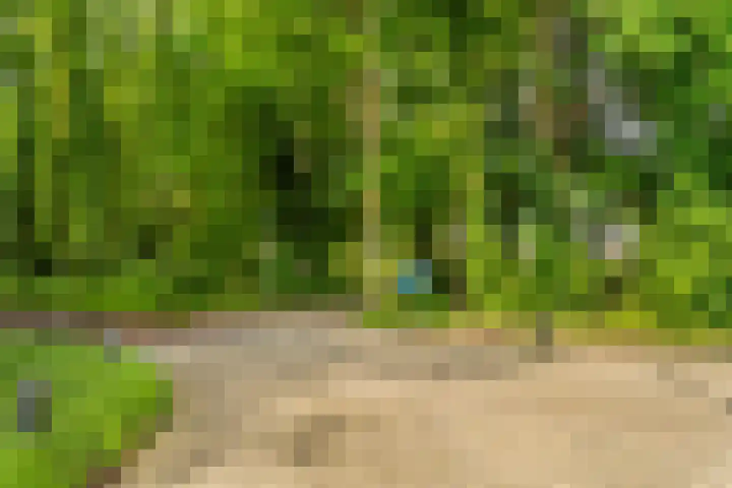 De Lariks 1 Assen thumbnail 5