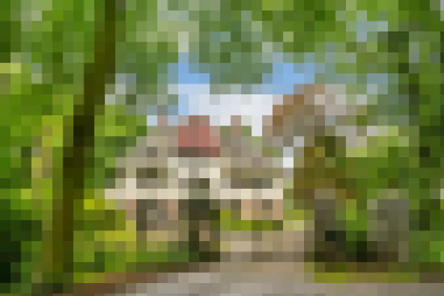 De Lariks 1 Assen thumbnail 6