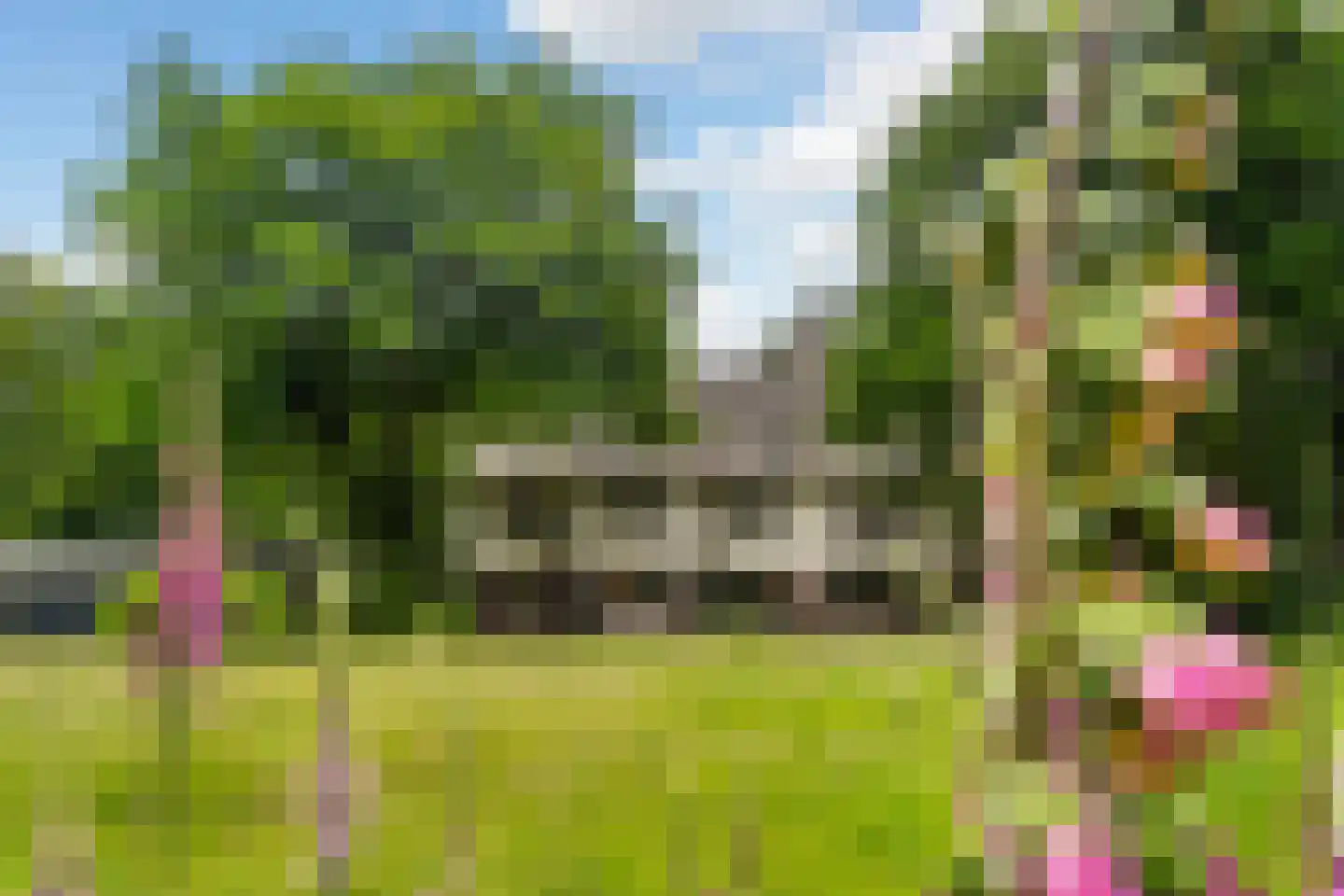 De Lariks 1 Assen thumbnail 67