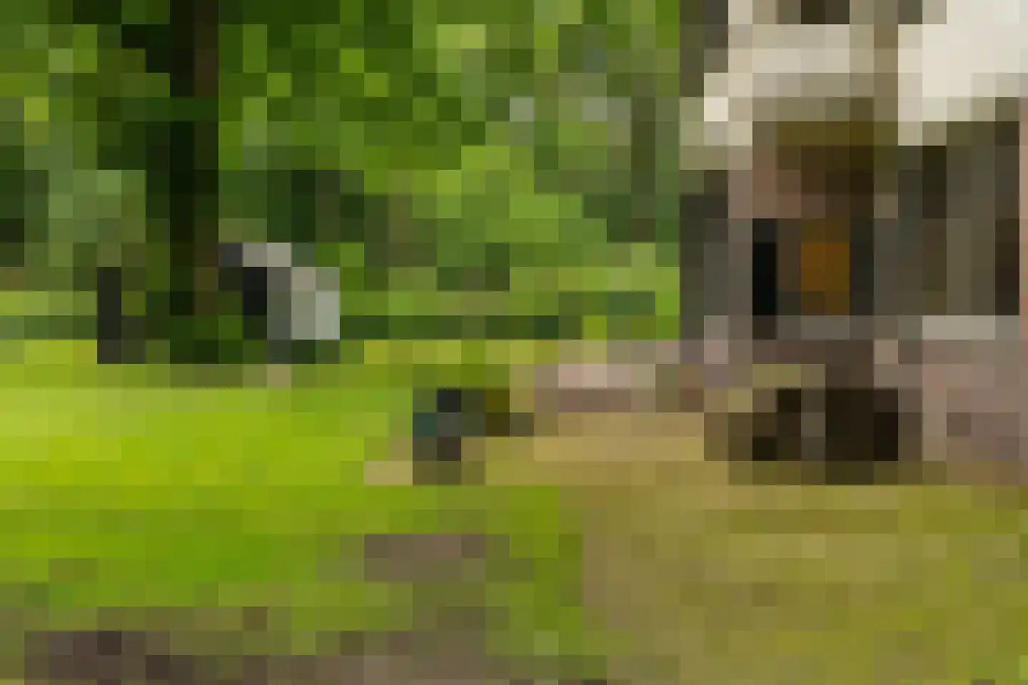 De Lariks 1 Assen thumbnail 69
