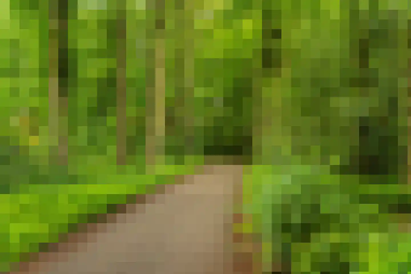 De Lariks 1 Assen thumbnail 7