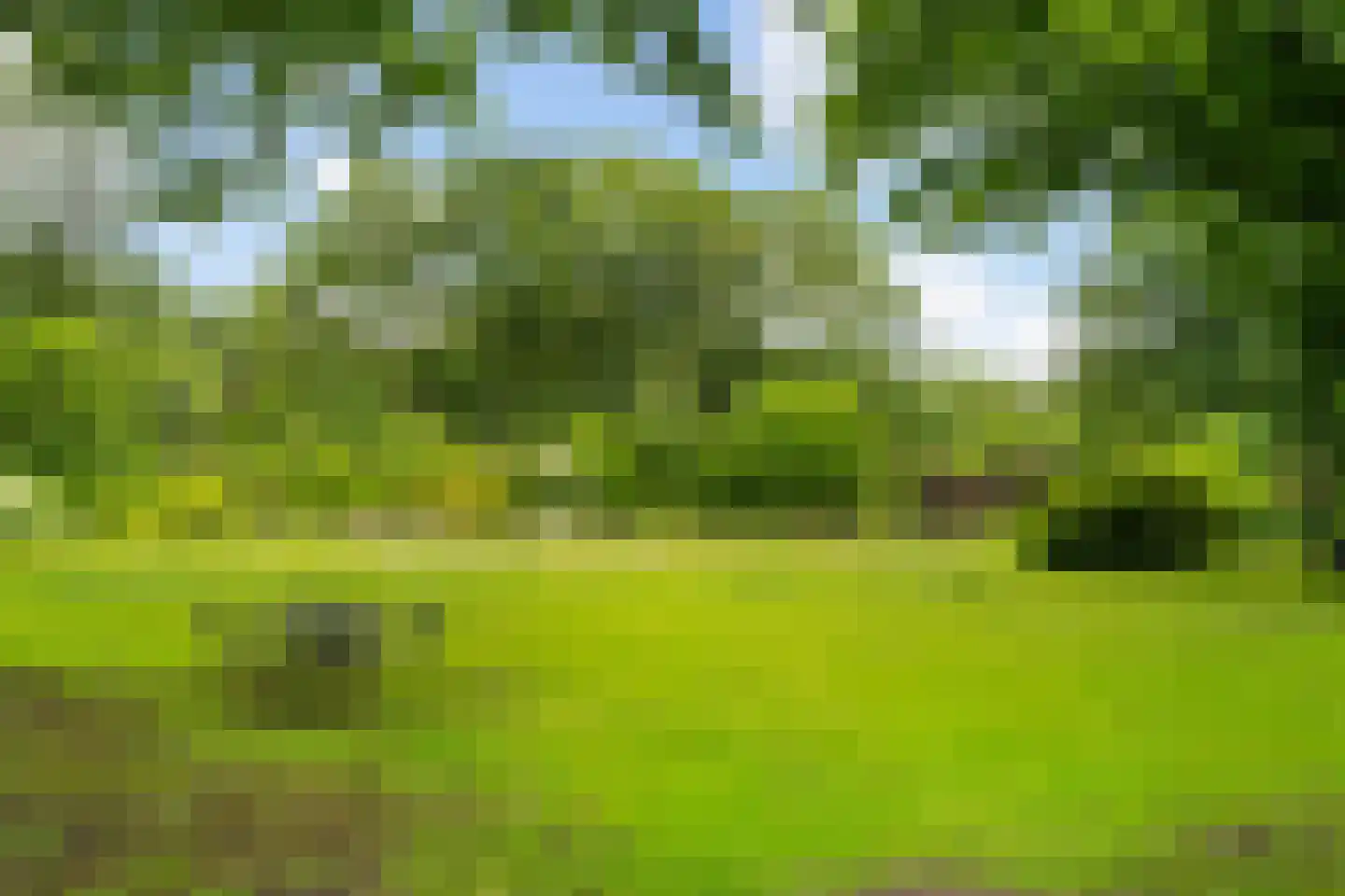 De Lariks 1 Assen thumbnail 71