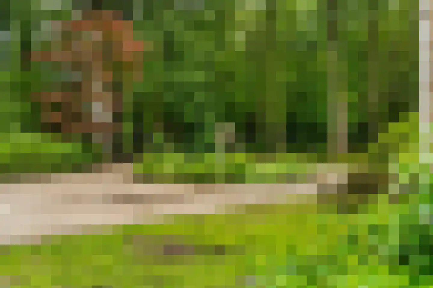 De Lariks 1 Assen thumbnail 72
