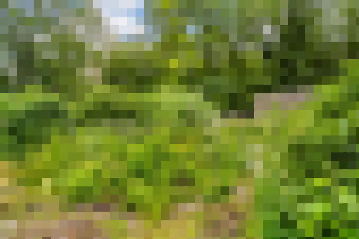 De Lariks 1 Assen thumbnail 74