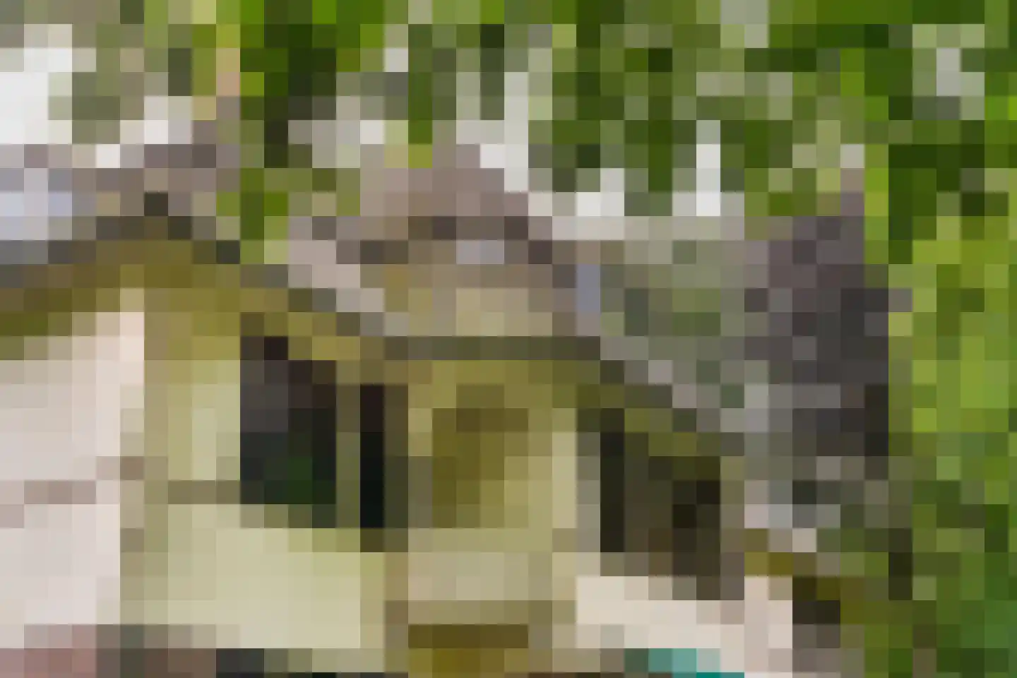 De Lariks 1 Assen thumbnail 75