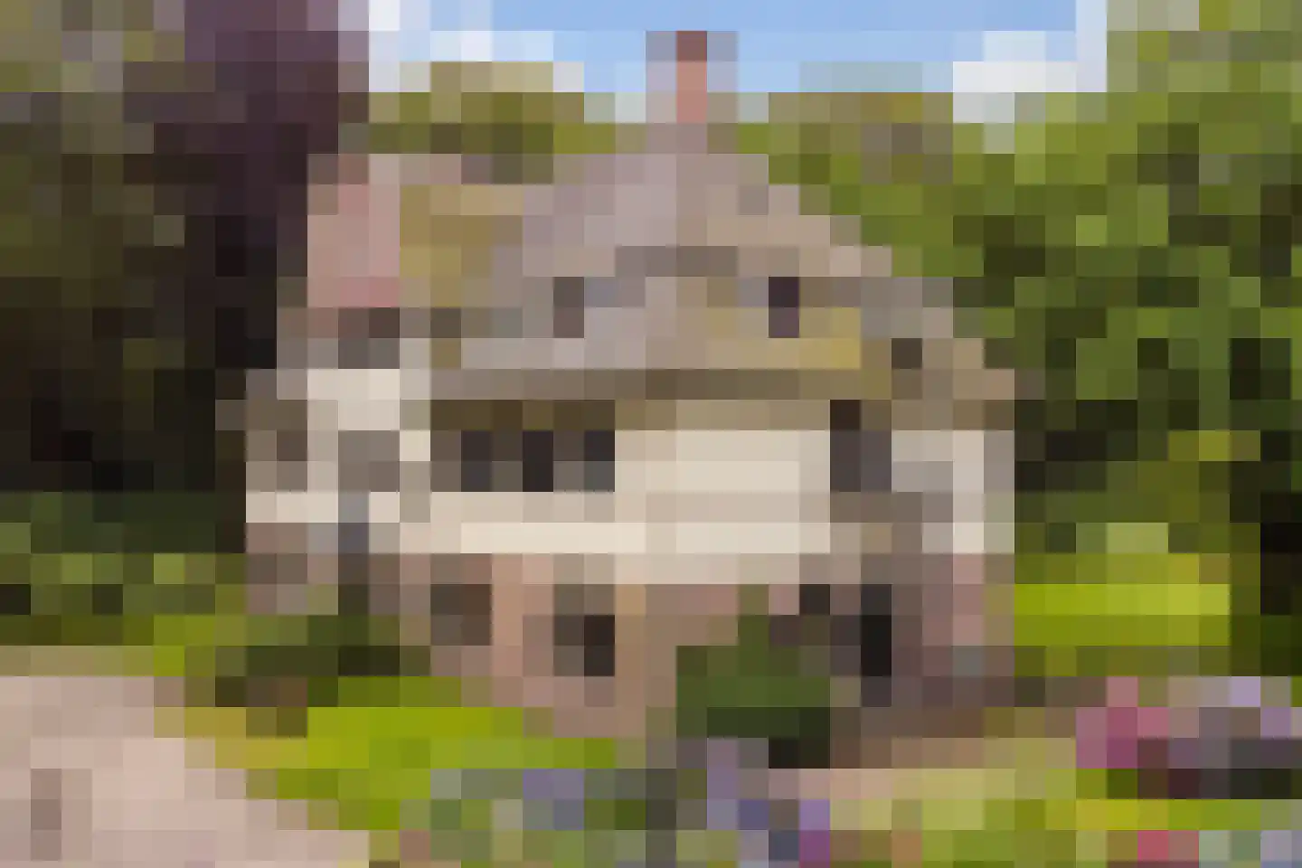 De Lariks 1 Assen thumbnail 78