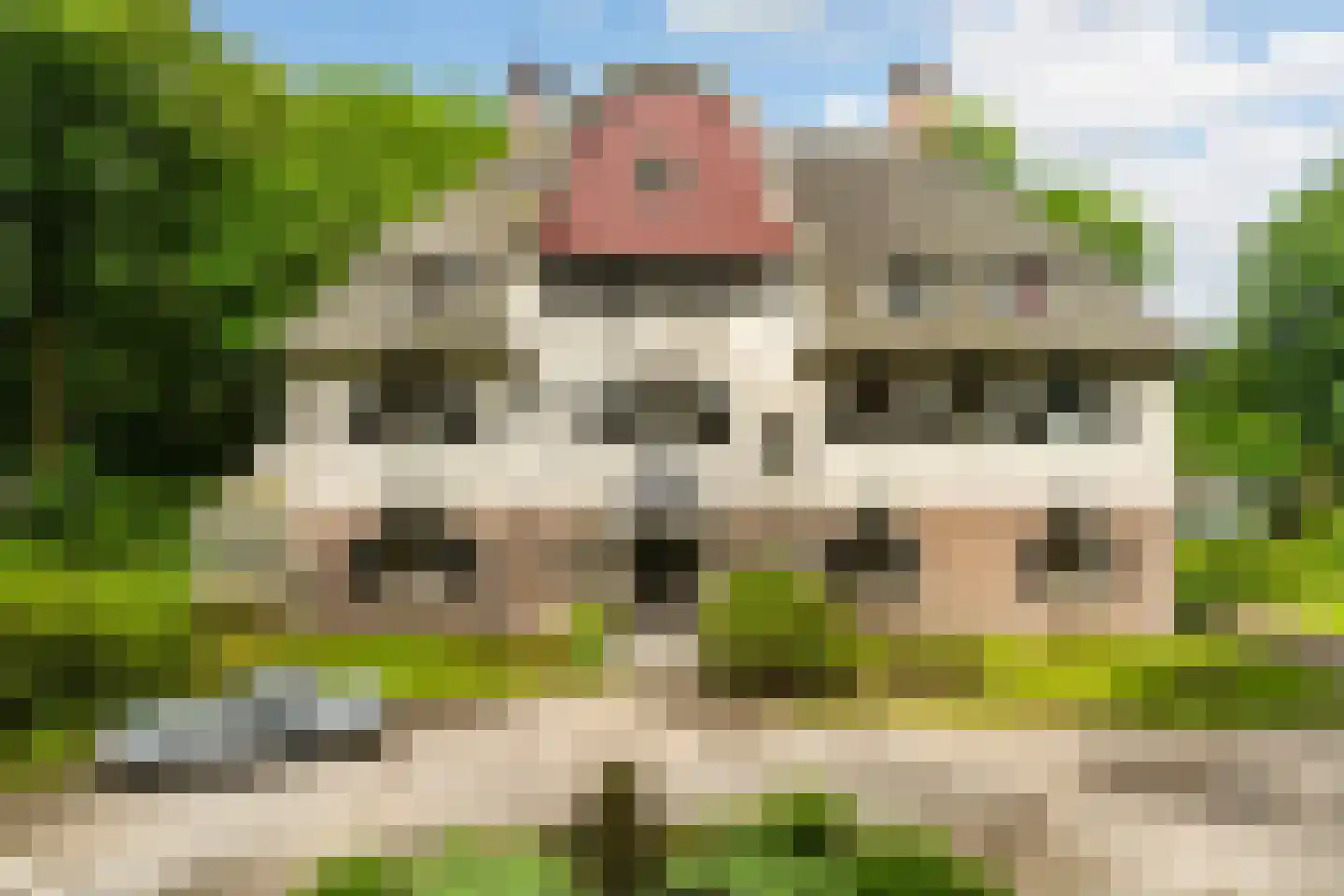 De Lariks 1 Assen thumbnail 8