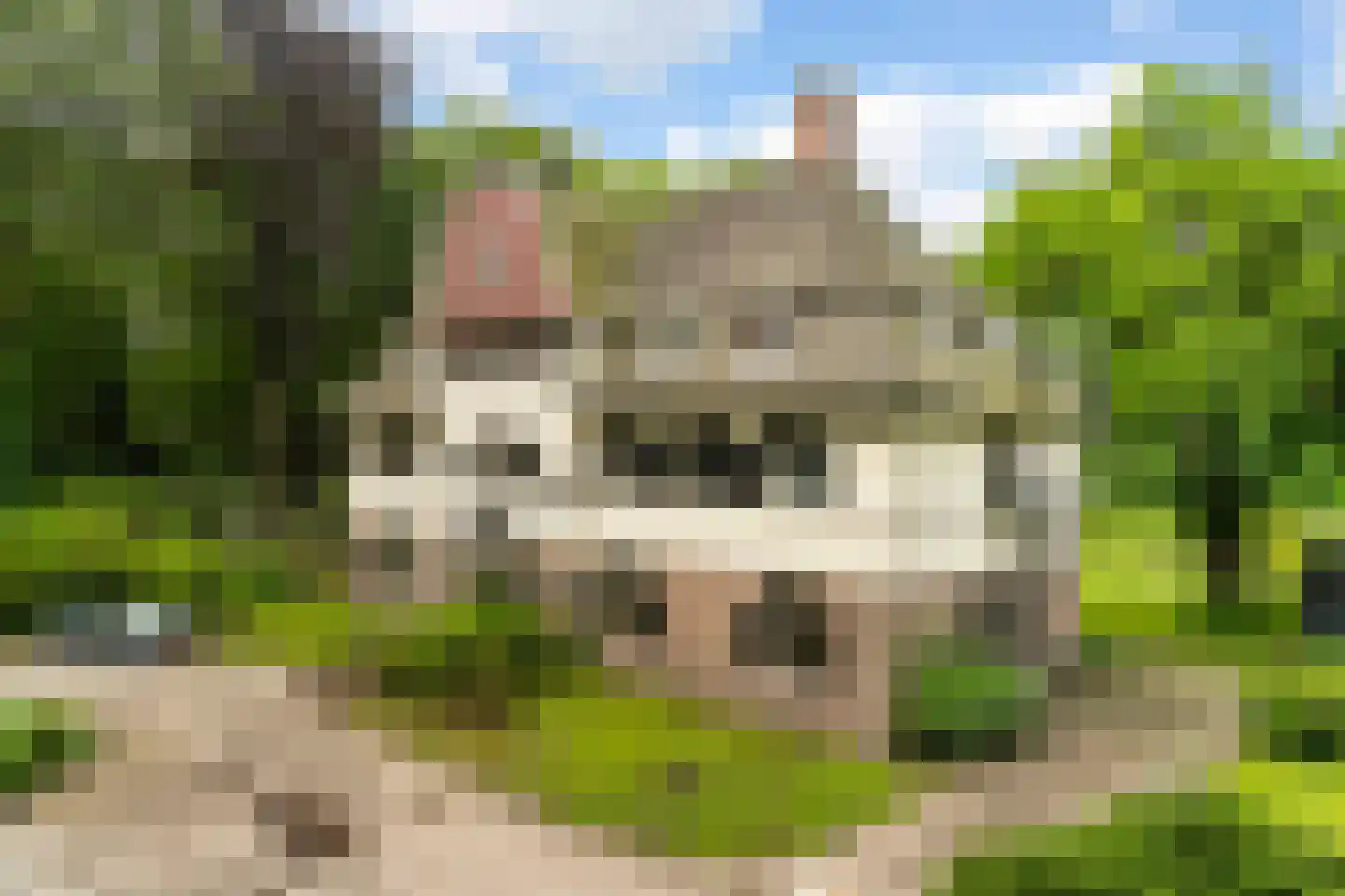 De Lariks 1 Assen thumbnail 9