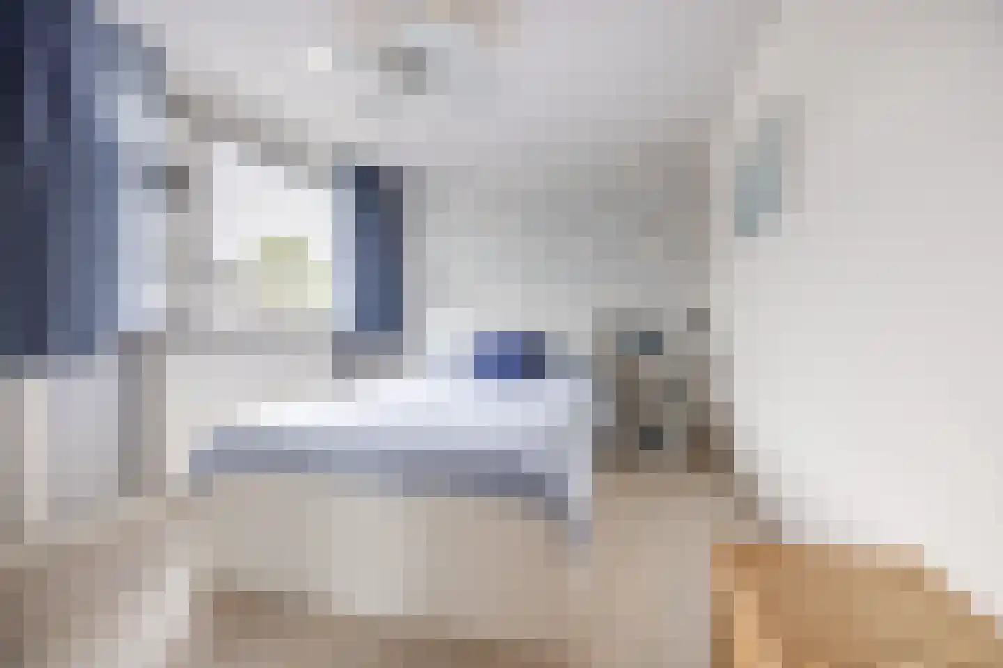 de Lariks 7 Bergschenhoek thumbnail 15