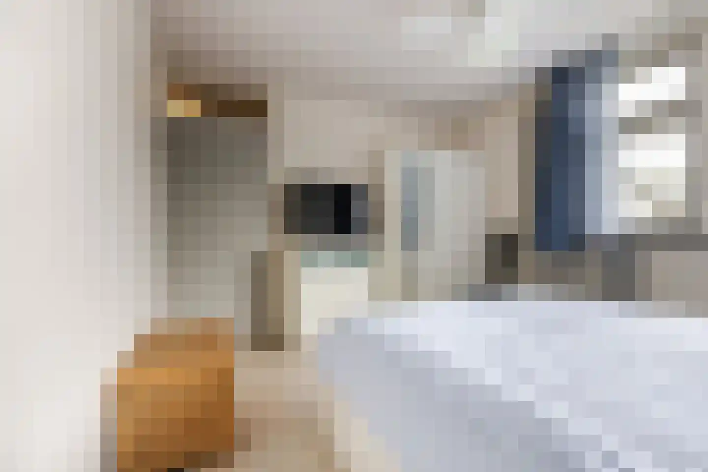 de Lariks 7 Bergschenhoek thumbnail 16