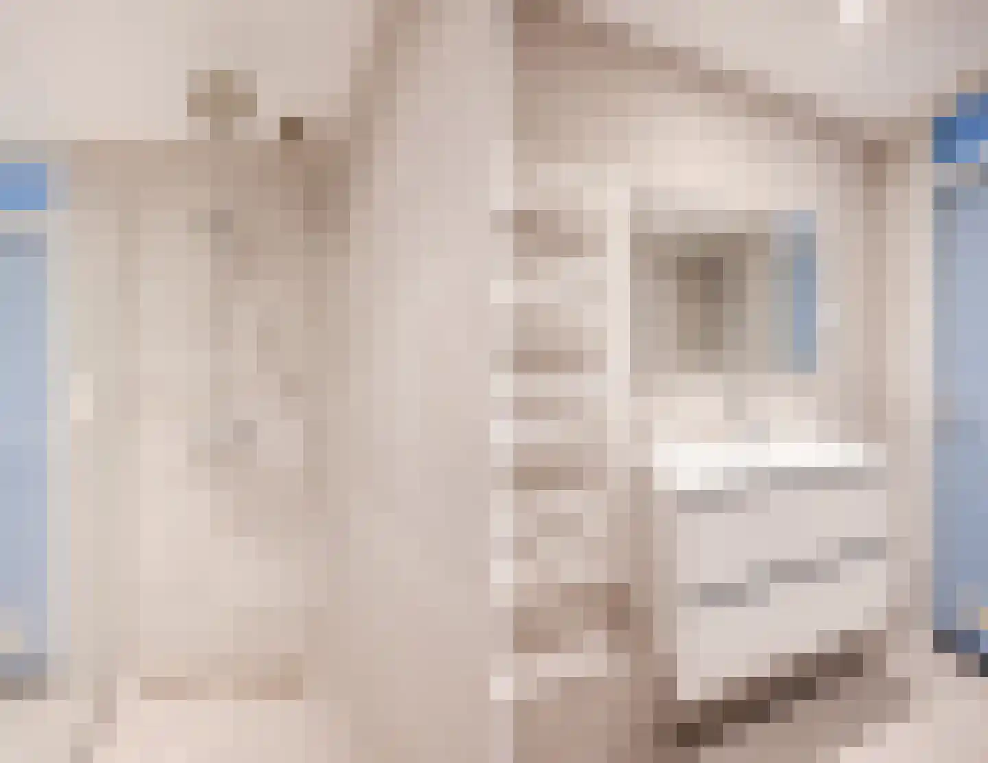 de Lariks 7 Bergschenhoek thumbnail 22