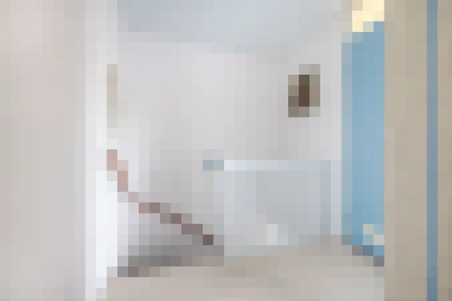 de Lariks 7 Bergschenhoek thumbnail 24