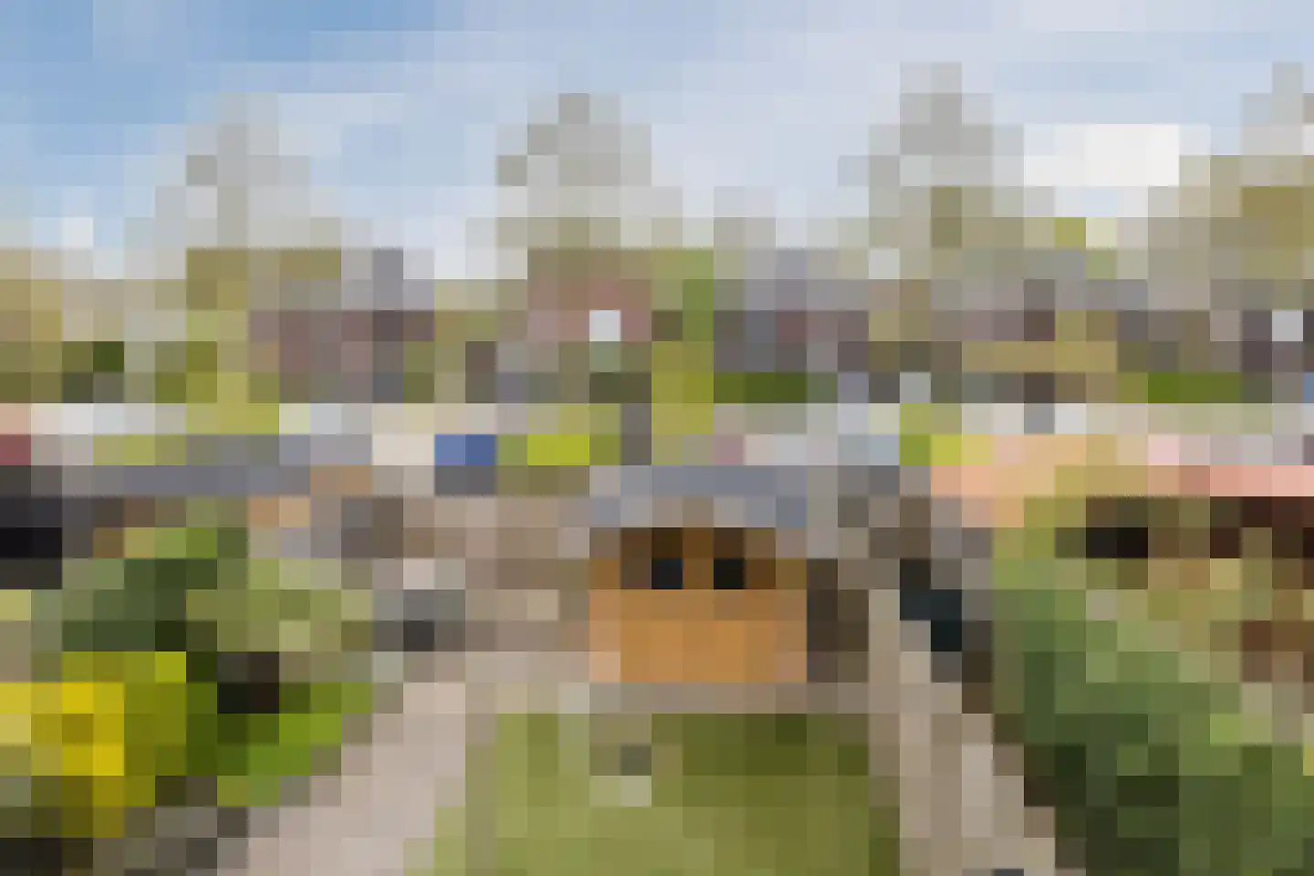 de Lariks 7 Bergschenhoek thumbnail 25