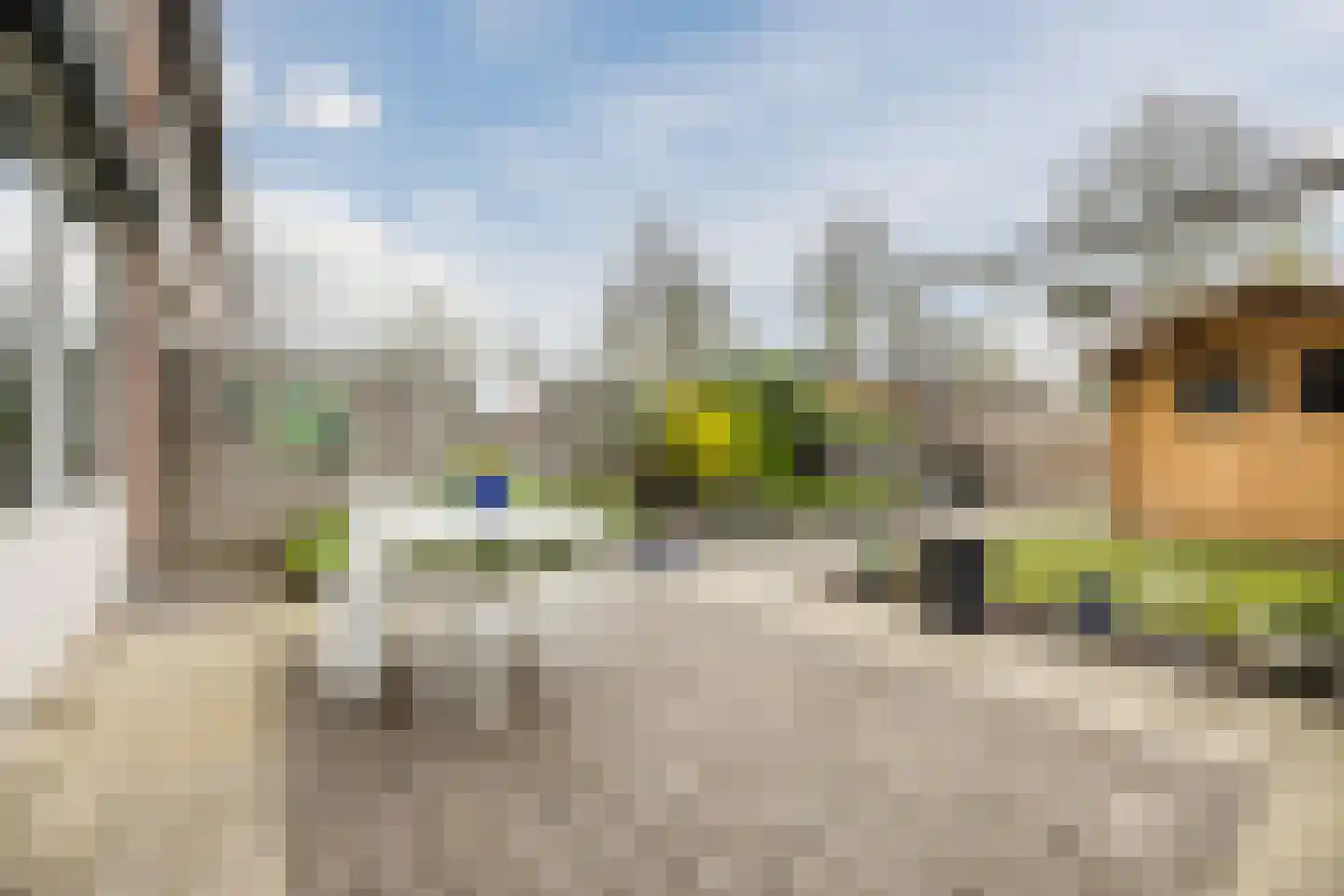 de Lariks 7 Bergschenhoek thumbnail 26