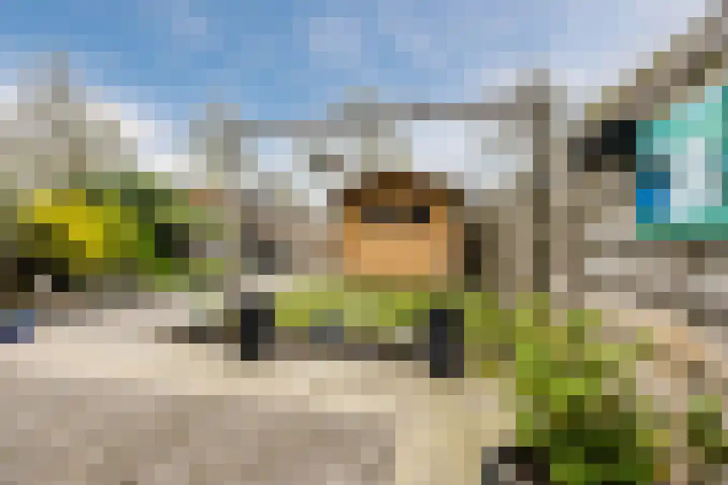 de Lariks 7 Bergschenhoek thumbnail 27